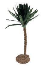 PALMERA 35CMS