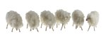 JUEGO 6 CORDEROS CON LANA 3CMS. (PRECIO JUEGO)