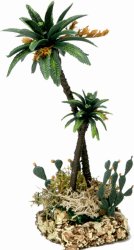 GRUPO PALMERA C/CHUMBERA 23CMS