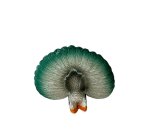 PAVO REAL RESINA 5CMS.