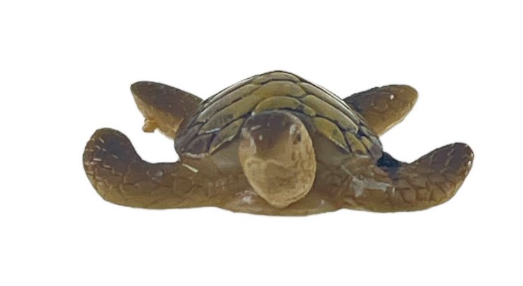 TORTUGA DE MAR RESINA 3.5CMS